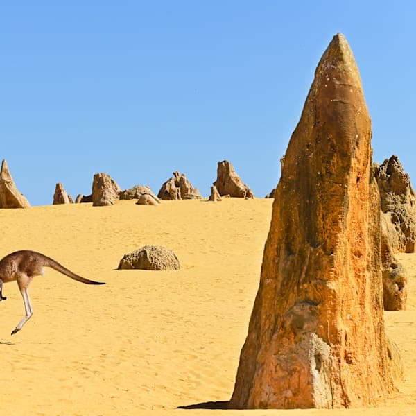 Australian Vanlife: West Coast Wonders & Outback Vibes!