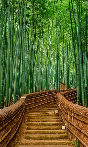 Iconic Japan